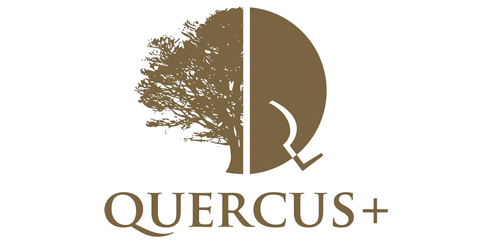 Quercus plus logo
